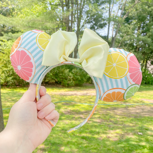 Citrus Slices Mickey Mouse Ears
