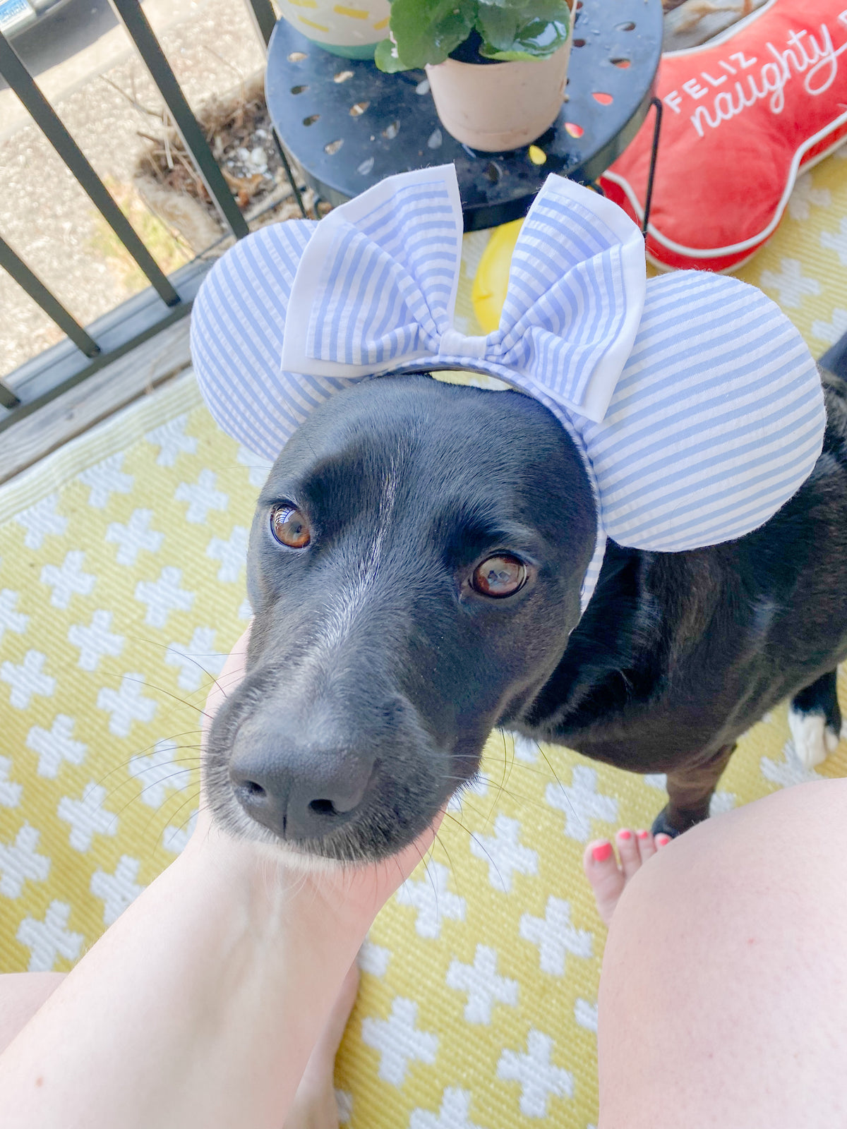 Blue Striped Seersucker Ears | Dapper Mouse Ears | Vintage